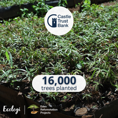 16,000 Trees planted
