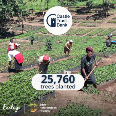 25760 Trees planted