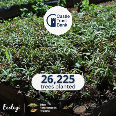 26665 Trees planted