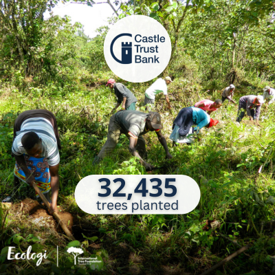 32435 Trees Planted