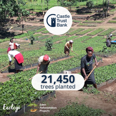 21,450 Trees planted